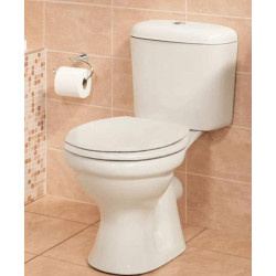Toilet Suite White Coral Top Dual Flush Toilet Includes Seat & Mechanism