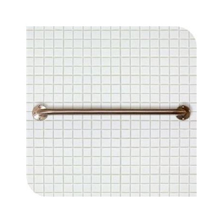 Rail Grab / Handle SS SR1 Paraplegic Flush Valve