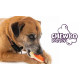 Chewbo Dog Toy Bone Small