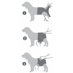 Female Diapers Dog L - M-Pet