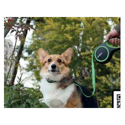Dog Leash Liberty Retractable Small 3M Blue - M-Pets