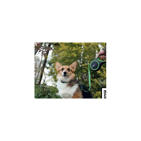 Dog Leash Liberty Retractable Small 3M Blue - M-Pets