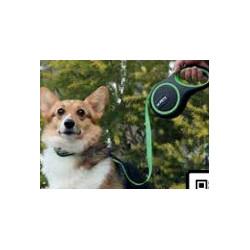 Leash Liberty Retractable Medium Blue - M-Pets