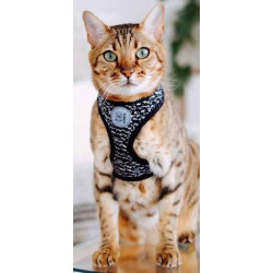 Lets Go Cat harness & leash set M-Pets
