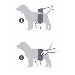 Dog Male Diapers Small