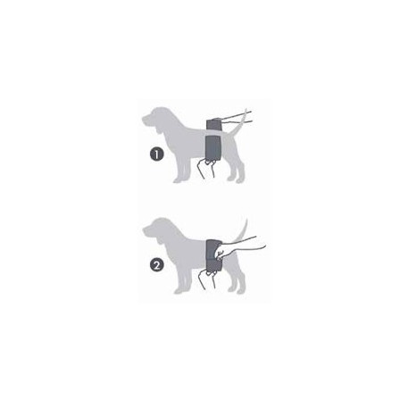 Dog Male Diapers Small