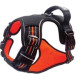 Hiking Harness Large