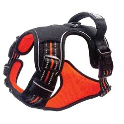 Hiking Harness Large