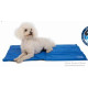 Dog Frozen Cooling Mat Small 40 X 50 Cm