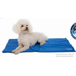 Frozen Cooling Mat Small 40 X 50 Cm