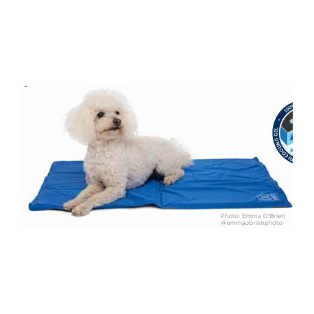 Dog Frozen Cooling Mat Small 40 X 50 Cm