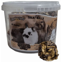 Hamster Critters Treat Ball Large 8/Tub