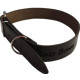 CollarLeather Brown - 22x530mm