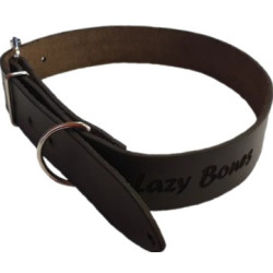 CollarLeather Brown - 22x530mm