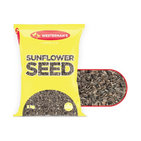 Sunflower - Striped - 5Kg