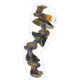 Petsa Rope Bone With 3 Cow Hooves