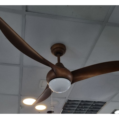 Eagle Fan