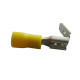 Terminal Piggy Yellow Pack Of 10