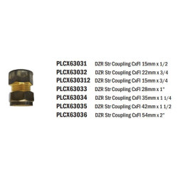 Brass Coupler Straight CxFI 22mm x 3/4 - REIGN DZR